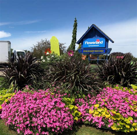 Flowerland grand rapids - May 17, 2023 · Bos is pretty much right across the street from Kotsier’s – hit up both for a fun day of flower shopping. They’ve been in the growing business for over 100 years, so you’re in good hands. Address: 1674 Spaulding SE, Grand Rapids, Michigan 49546. Website: William Bos Greenhouse. 